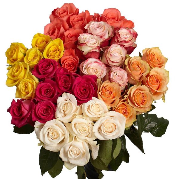 100 Stems of Assorted Roses - 4 Different Colors - Fresh Flower Delivery