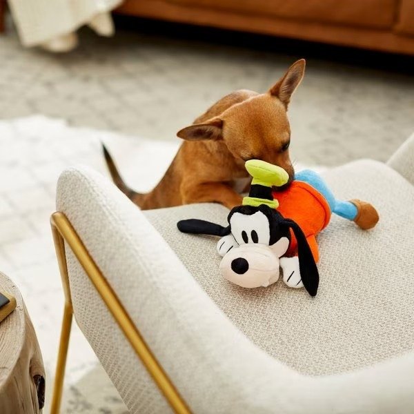 Goofy Plush Squeaky Dog Toy