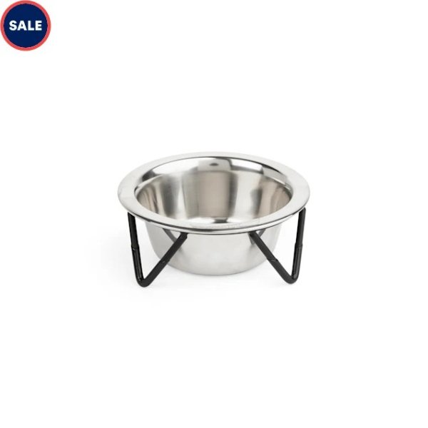 EveryYay Better Together Elevated Stainless-Steel Cat Bowl, 0.75 Cups | Petco