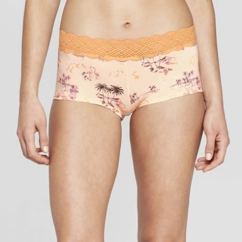 Target Fruit of the Loom Women's Breathable Micro-Mesh Bikini Underwear 6+2  Free Bonus Pack 13.99