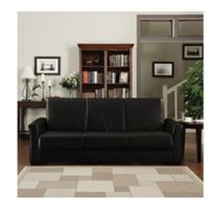 Baja Renu Leather Convert-a-Couch & Sofa Bed 