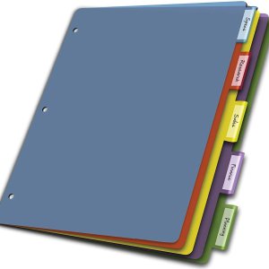 Cardinal Plastic Binder Dividers without Pockets, 5-Tab