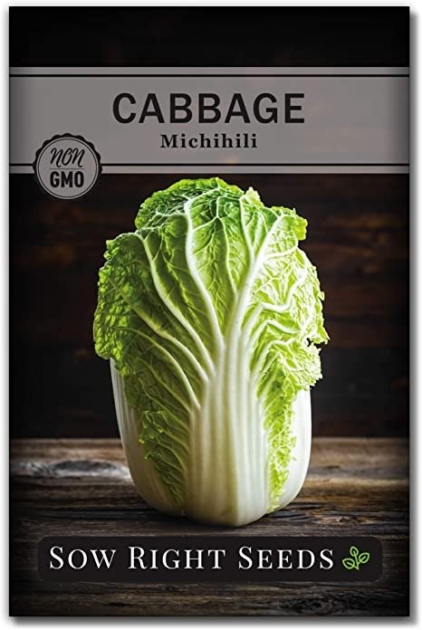Right Seeds - Michihili Nampa Cabbage Seed for Planting - Non-GMO Heirloom Packet with Instructions to Plant an Outdoor Home Vegetable Garden - Great Gardening Gift (1)
