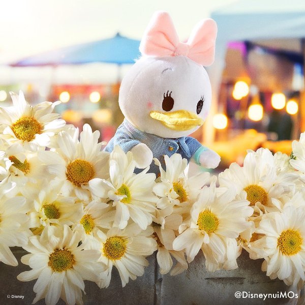 Daisy Duck Disney nuiMOs Plush | shopDisney