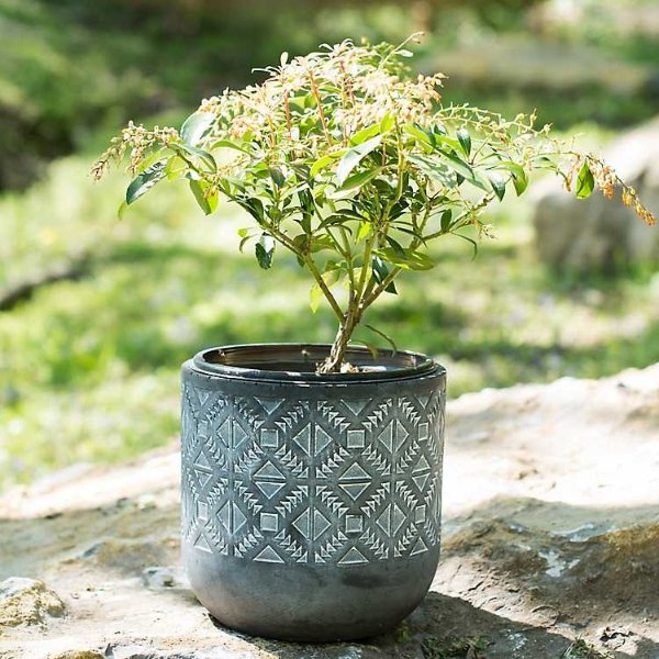 Gray Cement Printed Planter