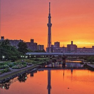 东京+箱根+京都6晚住宿+机票+部分餐食 +子弹头列车+行程