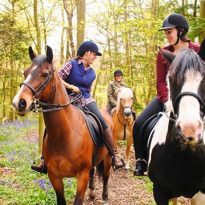 50-Minute Group Horseback Trail Ride or Private Trail Ride for 2 or 4 at Westside Riding School (Up to 41% Off).