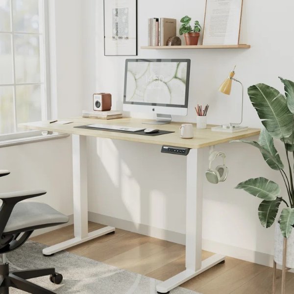 Ashwina Adjustable Metal Base Standing Desk