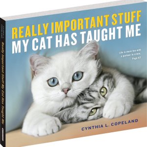 Chewy 养猫相关书籍热卖，教你如何用猫毛做手工