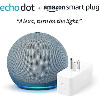 Echo Dot 4 + 智能插座