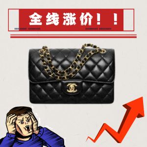 Chanel Spring 2023/24 Pre-Collection Handbags