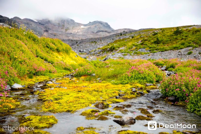 rainier_6.jpg