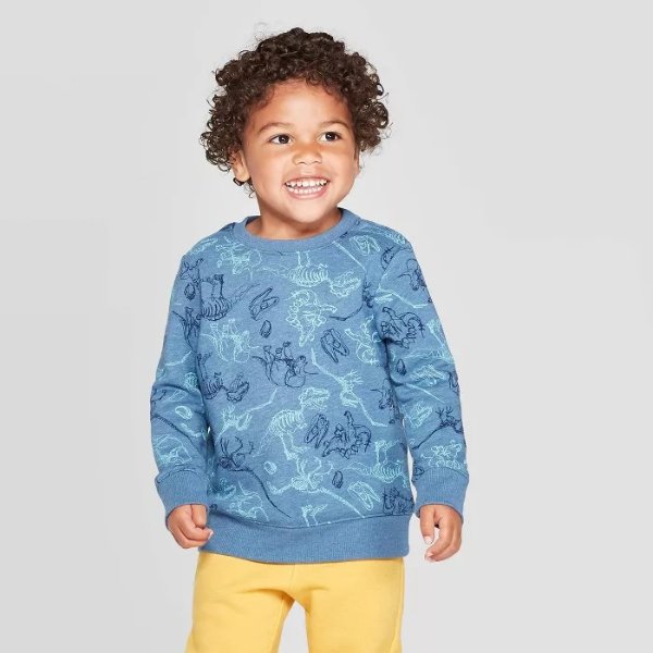 Toddler Boys' Dinosaur Fleece Crew Sweatshirt - Cat & Jack&#153; Blue