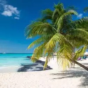 全球出游套餐 住宿+机票 夏威夷/欧洲/多米尼加多地春季度假