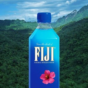 FIJI 斐济天然矿泉水 16.9oz 24瓶