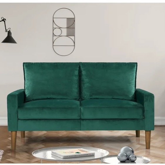 Cedrice 53'' Velvet sofa