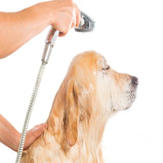 Go Go Spa Self-Serve Dog Wash - 洛杉矶 - Rosemead