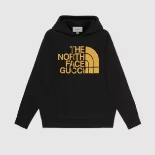 - The North Face xWeb print cotton sweatshirt
