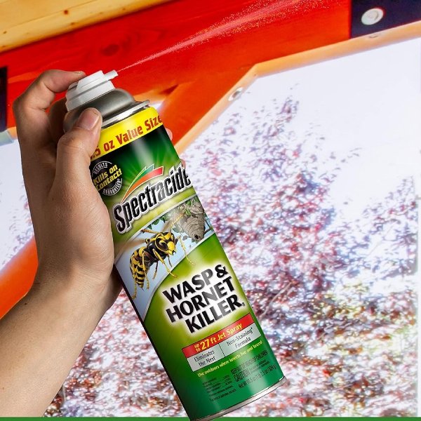 Spectracide Wasp, Hornet and Insects Killer, 2 Count, 20 Ounce (Aerosol Spray)