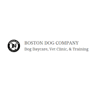 Boston Dog Company - 波士顿 - Cambridge