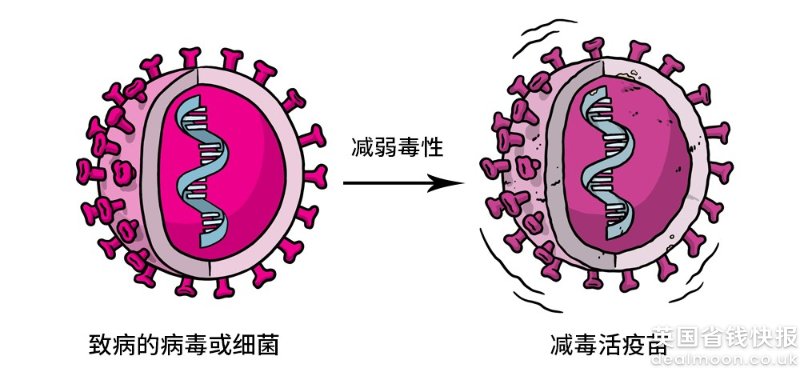 减毒活疫苗