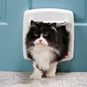 Petco Selected Cat Gates & Doors on Sale