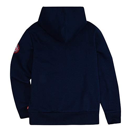 Boys' Graphic Logo Pullover Hoodie