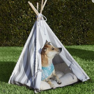 JCPenney Pet Supplies on sale