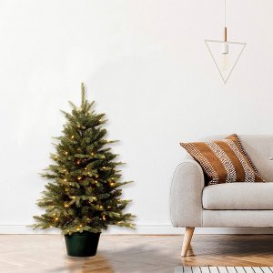 National Tree Christmas Trees and Seasonal Decor
