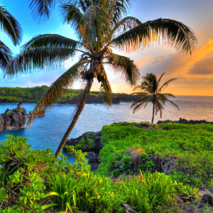 夏威夷欧胡岛 5晚住宿含早含税+往返机票