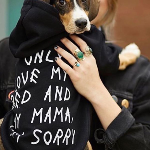 Champagne Puppy Hoodie | Dog Clothing
