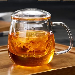 DOPUDO Glass Tea Cup with Infuser and Lid