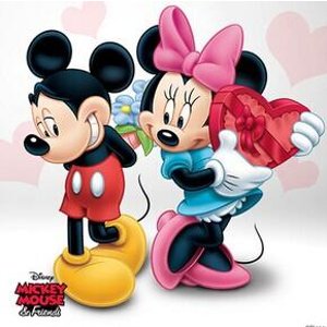 Mickey Mouse & Minnie Mouse Collection @ Zulily