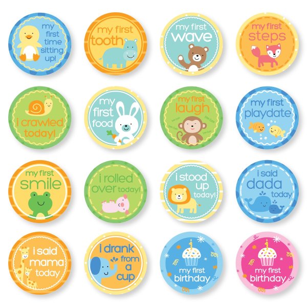 Baby First Year Milestone Belly Stickers