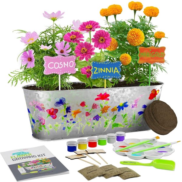 Dan&Darci Paint & Plant Flower Growing Kit for Kids