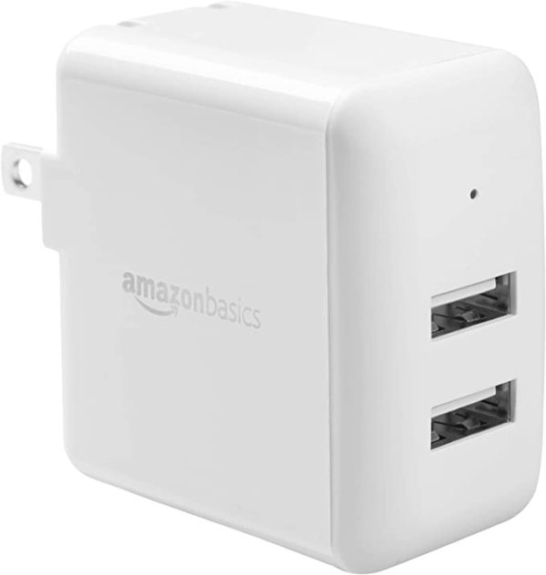 Dual-Port 24W USB Wall Charger for Phone, iPad, and Tablet - White