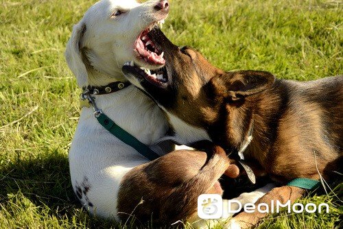 fotolia_208829867.jpg