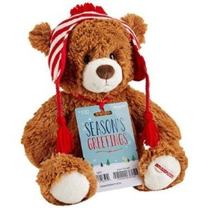 Amazon.com $500 Gift Card with Teddy Bear