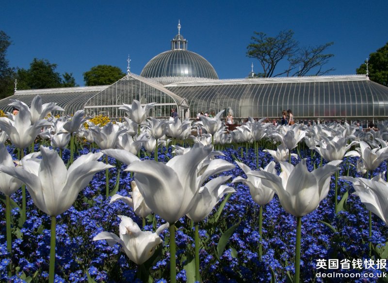 Botanic-Gardens-3-Kibble