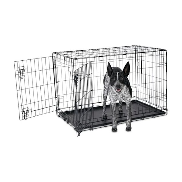 2-Door Folding Dog Crate, 36.5" L x 23.5" W x 24.7" H | Petco