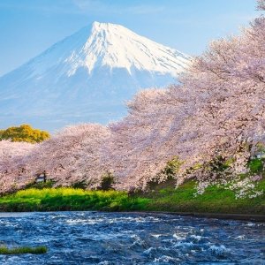8天日本东京+成田+富士山跟团游 美国多地出发