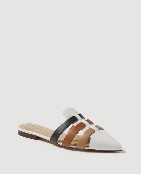 Sydnee Colorblock Leather Pointy Toe Slides | Ann Taylor