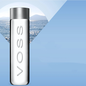 Voss Still Premium Naturally Pure Water Pet Plastic Bottles for On-The-Go Hydration, 16.91 Fl Oz, Pack of 12