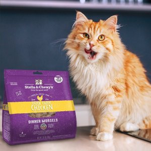 $30 giftcard when spend $100+Stella & Chewy's pet food and treats on sale