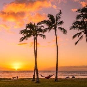 Hawaii Hilton + Additional Savings, Too