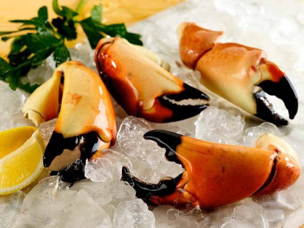 Cooked Wild Stone Crab Claws