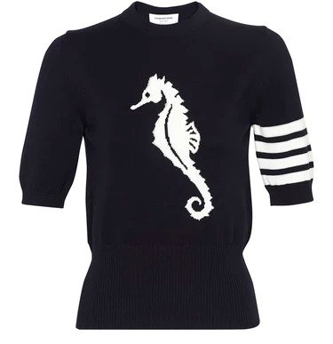 Sea Horse sweater