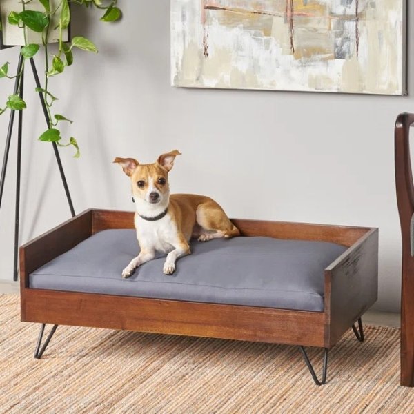 Kaylor Mid Century Modern Dog Sofa