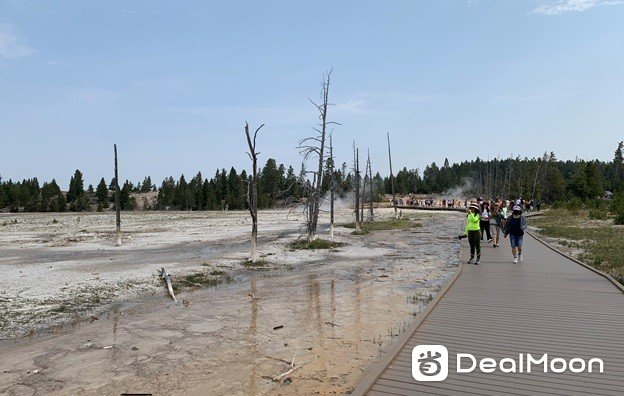 Yellowstone_168.jpg