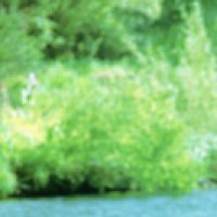 爱吃菠萝的艾玛